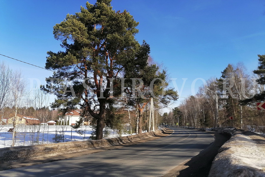 КП Таширово
